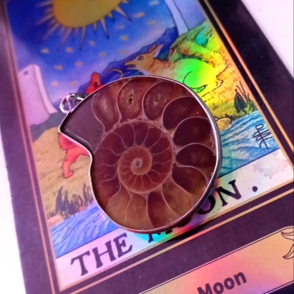 Sterling ammonite Pendant